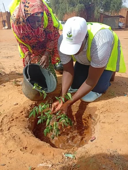 Des volontaires de l’Initiative Pour l’Arbre arrosent un jeune arbre à Tahoua