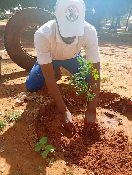 Des volontaires entretiennent les plantations à Tahoua